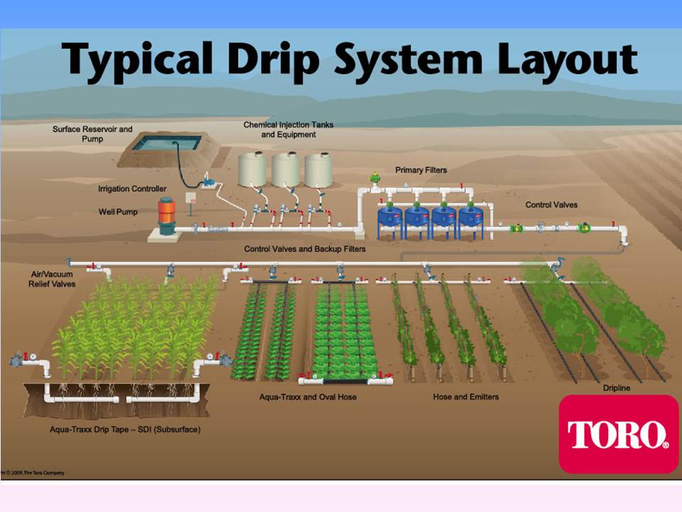 Drip system layout